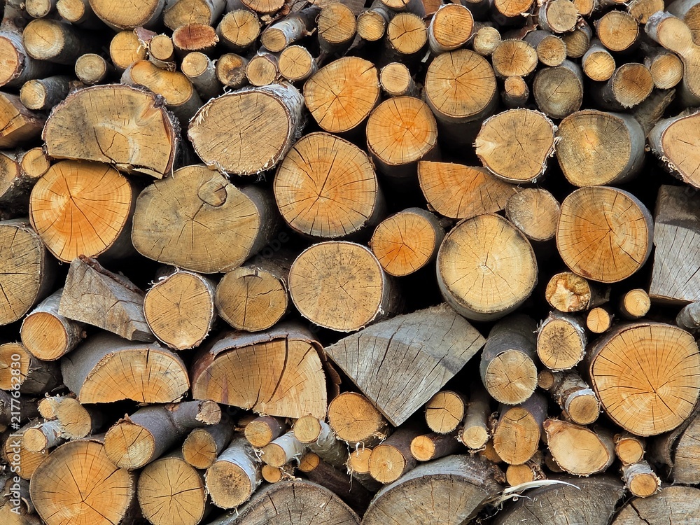 Obraz premium stack of firewood