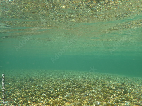 Clear underwater river landscape