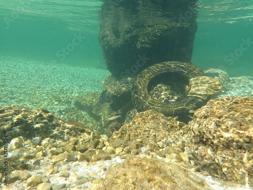 Underwater river photo with sunken car tire and fishes
