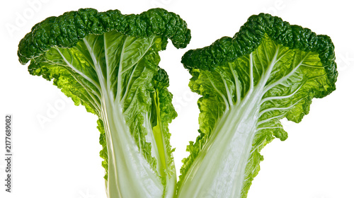 Foto Isolated fresh vibrant green leafy bok choy vegetable ingredient for healthy cui