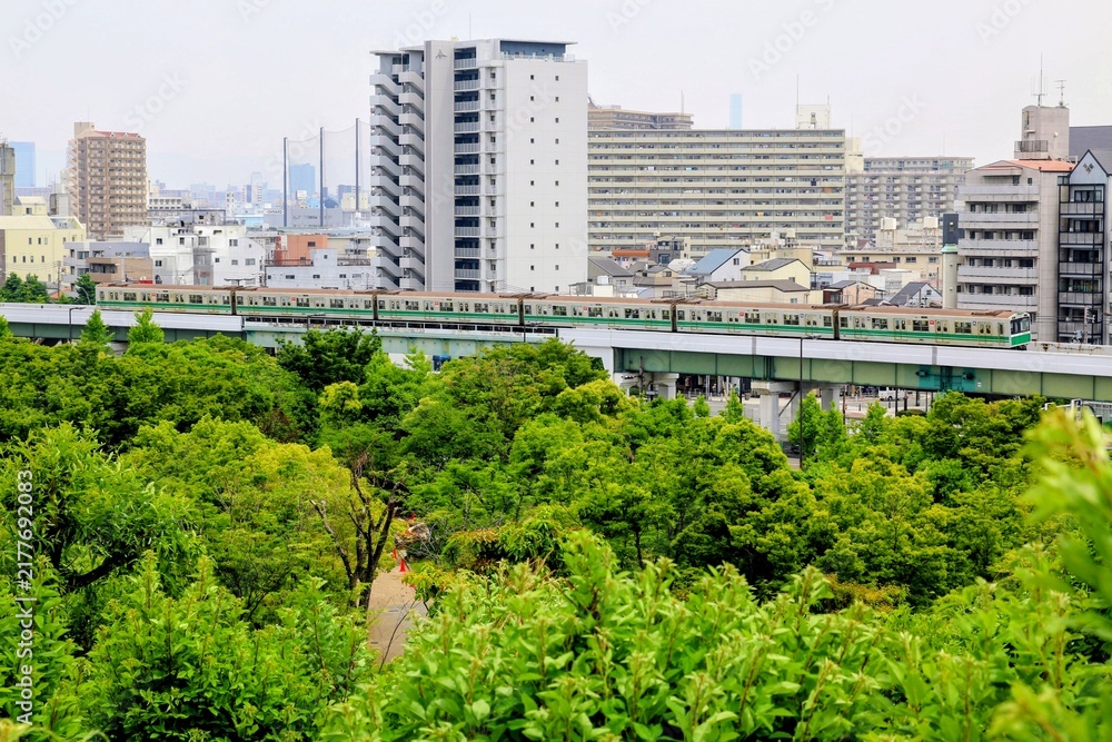 Fototapeta premium 新緑の木々と都市の高架線を走る電車
