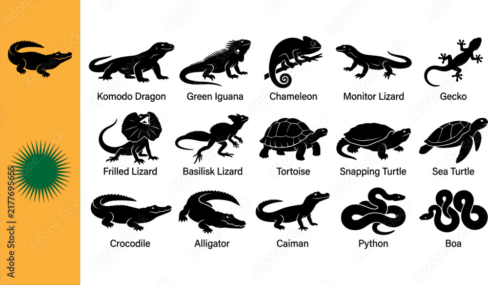 Obraz premium Collection of fifteen black reptile silhouettes featuring Komodo Dragon Green Iguana Chameleon Monitor Gecko Frilled Basilisk Tortoise Snapping Sea Turtle Crocodile Alligator Caiman Python Boa