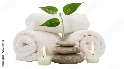 Photography Isolated wellness scene with rolled white towels, zen stones, plant sprout, and