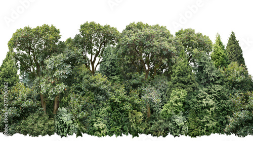 Konstfotografi Isolated group of various green trees and bushy shrubs forming a natural landscape element