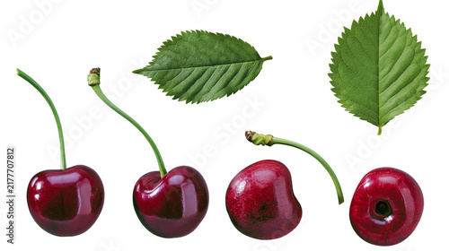 Obraz na plátně Isolated fresh ripe dark red cherries with green stems and vibrant green leaves