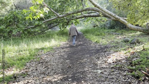 Senior man walks under low-hanging tree branches	