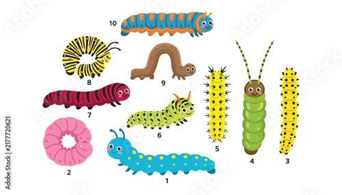 Cute colorful caterpillar vector set with various cartoon insect larvae worms and bugs for children education illustration