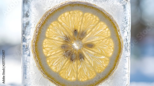 Fresh lemon slice frozen in a clear ice cube