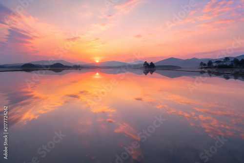 Flooded rice terrace at dawn reflecting a pink and orange sky.