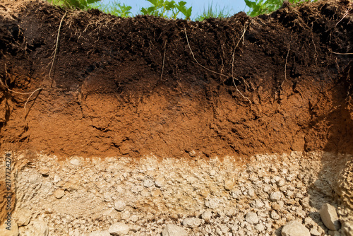 Soil profile layers in excavation, pedology and geology concept