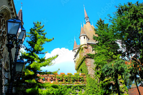 Canvastavla BUDAPEST, HUNGARY - AUGUST 31, 2025: Gatehouse tower at Vajdahunyad Castle