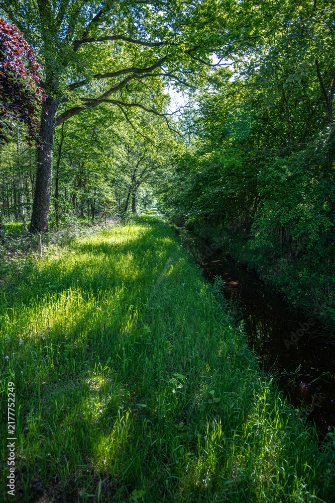 Obraz premium Landscape in Buurserzand Haaksbergen at the Nederlandroute in the Netherlands