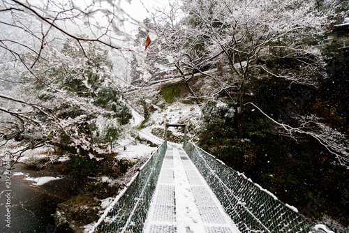 冬の吊り橋