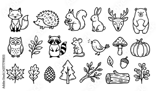 Cute Woodland Animals Autumn Forest Black Line Doodle Vector Set
Keywords: