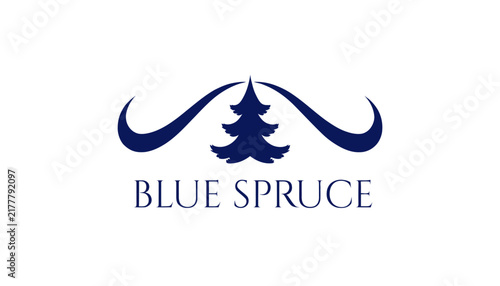 Blue Spruce logo, evergreen tree symbol with swirly design