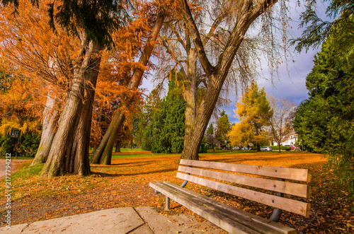Fotografie Green lake in Seattle WA