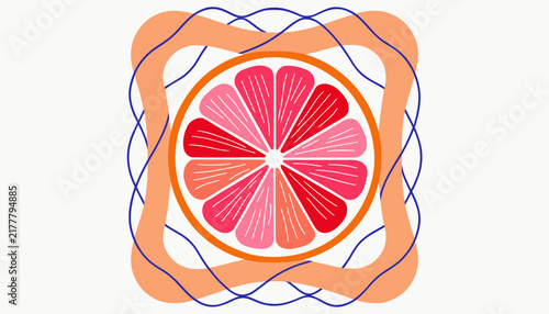 Citrus fruit slice illustration
