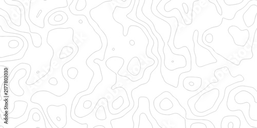 Abstract grid landscape topography white background. white and black relief line wireframe isoline location diagram world map texture design.	
