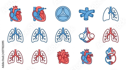 Colorful Vector Illustrations of Human Organs and Symbols.