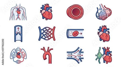 Colorful Medical Anatomy Icons Collection.