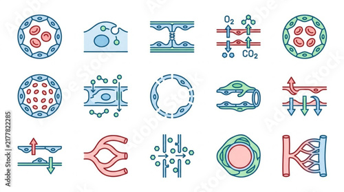 Colorful Scientific and Technical Icon Collection.
