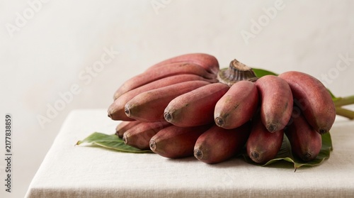 Fresh Red Bananas Tropical Fruit Cluster with Reddish Purple Peel