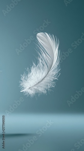Delicate white feather floating gracefully.