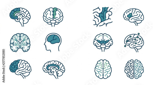 Foto Detailed collection of human brain illustrations in various styles