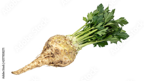 Fresh celeriac root vegetable with green leafy stems and textured beige skin isolated on a transparent background