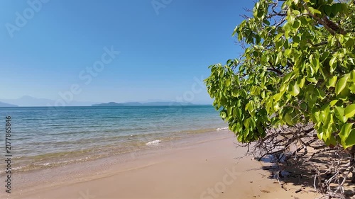 Exotic Paradise Beach with Tranquil Ocean Waves