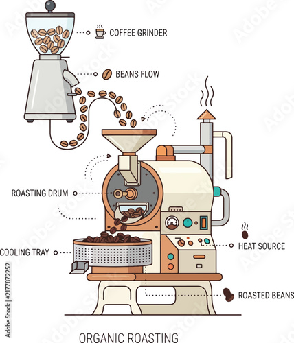 Coffee Roasting Process Diagram Illustration