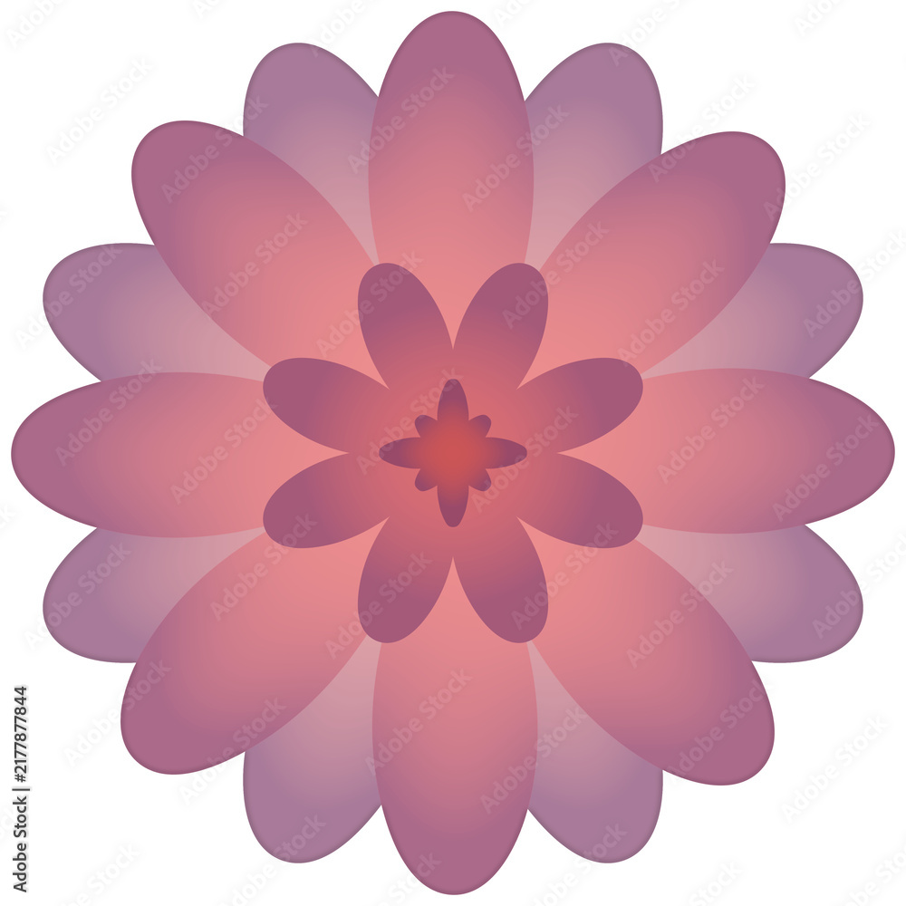 Fototapeta premium Pink and Purple Layered Flower Illustration with Soft Gradient Petals