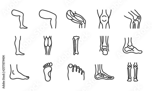 Bild auf Leinwand Detailed line art icons representing a comprehensive human body parts bundle foc