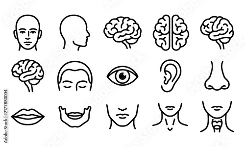 A comprehensive black and white line art human body parts bundle featuring various anatomical head and facial icons