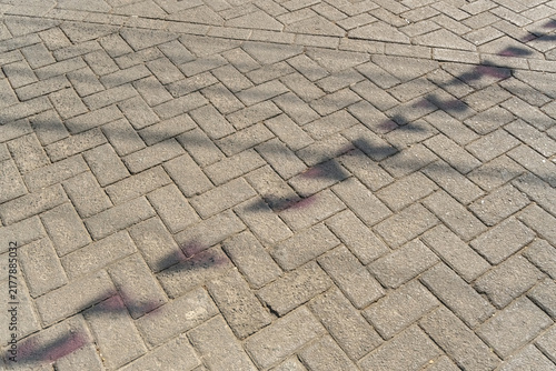 Принти на полотні A line of painted purple marks across a gray stone herringbone patterned walkway