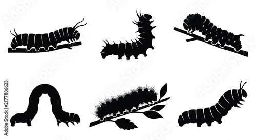 Принти на полотні Caterpillar silhouettes depict various larval forms in a black vector style