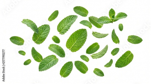 Vibrant Fresh Mint Foliage Isolated on Transparent Background for Herbal, Beverage and Botanical Design