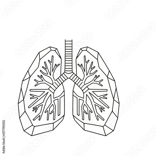 Stylized Lungs and Trachea Outline