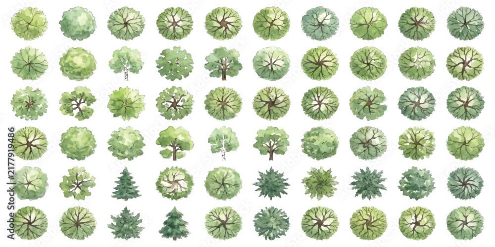 Fototapeta premium Set of various flat green and grey tree icons for landscape design architectural plan view and site mapping