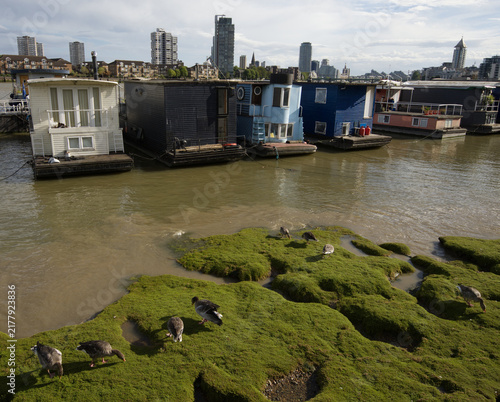 Sticker Colorful residential houseboats moored along the River Thames in London, England, with modern high-rise buildings and the city skyline visible in the background