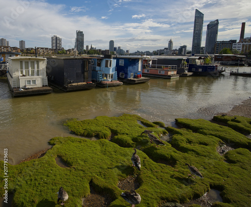 Photography Colorful residential houseboats moored along the River Thames in London, England, with modern high-rise buildings and the city skyline visible in the background