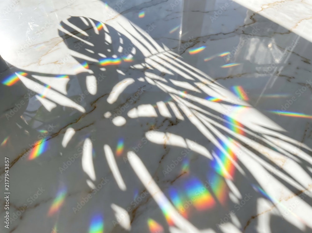 Obraz premium Aesthetic composition of prismatic rainbow light and leaf shadows on a polished white marble floor