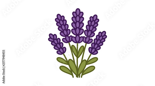 Bunch of purple lavender stems with green leaves.