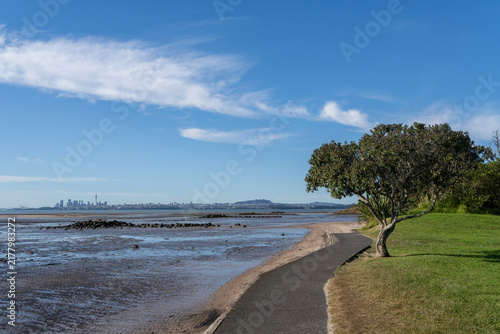 Canvas Print Scenic coastal path with Auckland skyline in the distance on a clear day