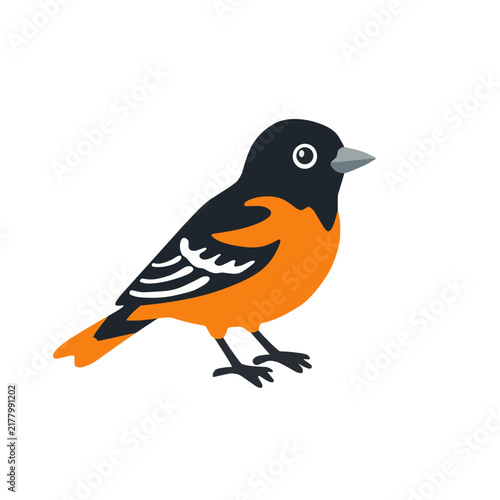 Bright orange and black Baltimore oriole bird perched on a branch, colorful hand drawn wildlife illustration isolated on white background