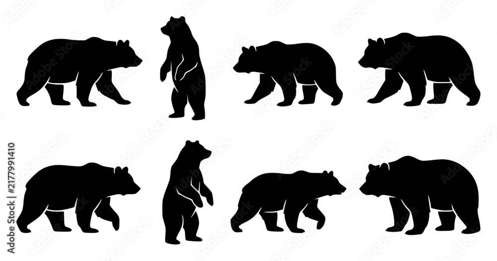 Fototapeta premium Black bear set with various poses featuring standing, walking, sitting, and sniffing with wildlife, animal, and silhouette