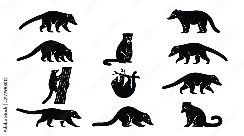 Obraz premium Raccoon silhouettes in various poses against a white background