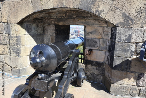 Obraz na plátně Old cannon in the fortress