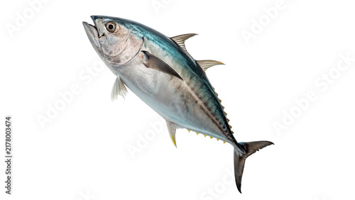 Bild auf Leinwand Fresh raw mackerel fish catch seafood macro view isolated on transparent backgro