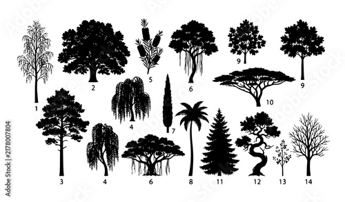 Diverse Tree Growth Forms – Black Silhouette Botanical Vector Collection